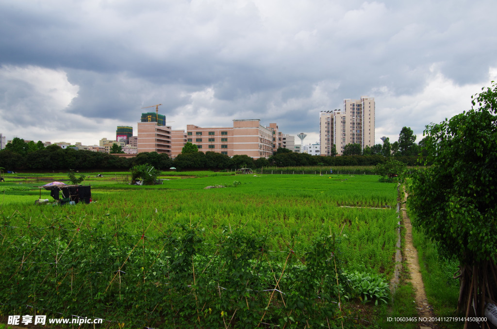 城市绿色基地