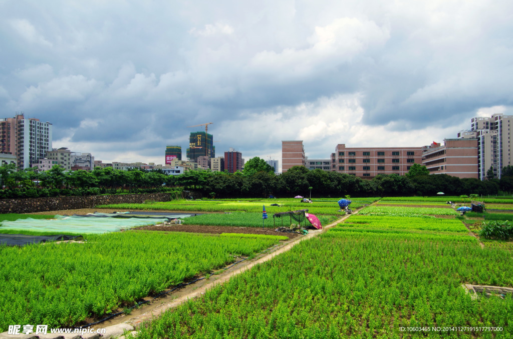 城市绿色基地