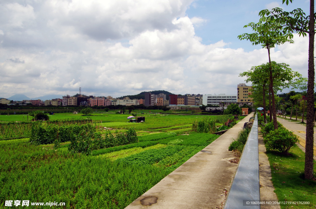 城市绿色基地