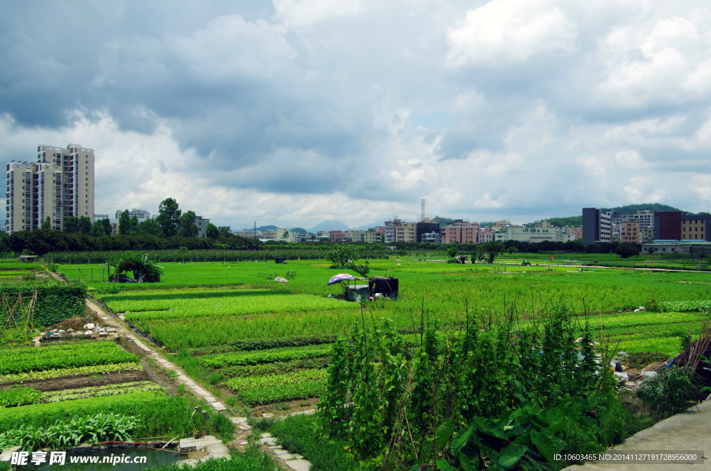 城市绿色基地