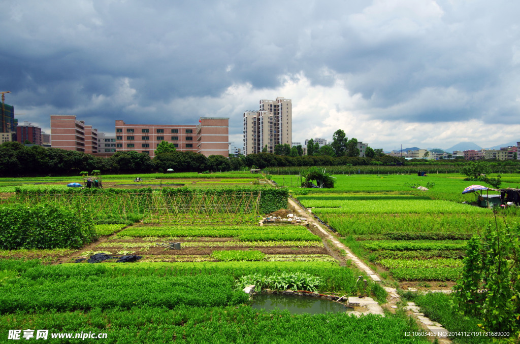 城市绿色基地