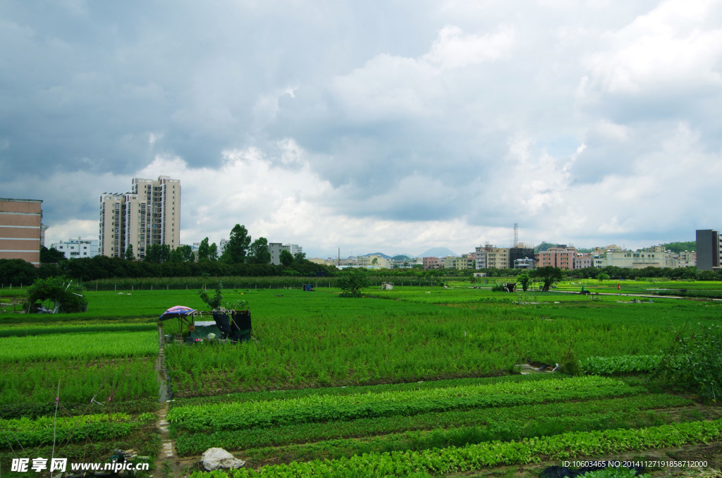 城市绿色基地