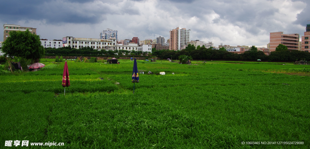 蔬菜基地绿色民生