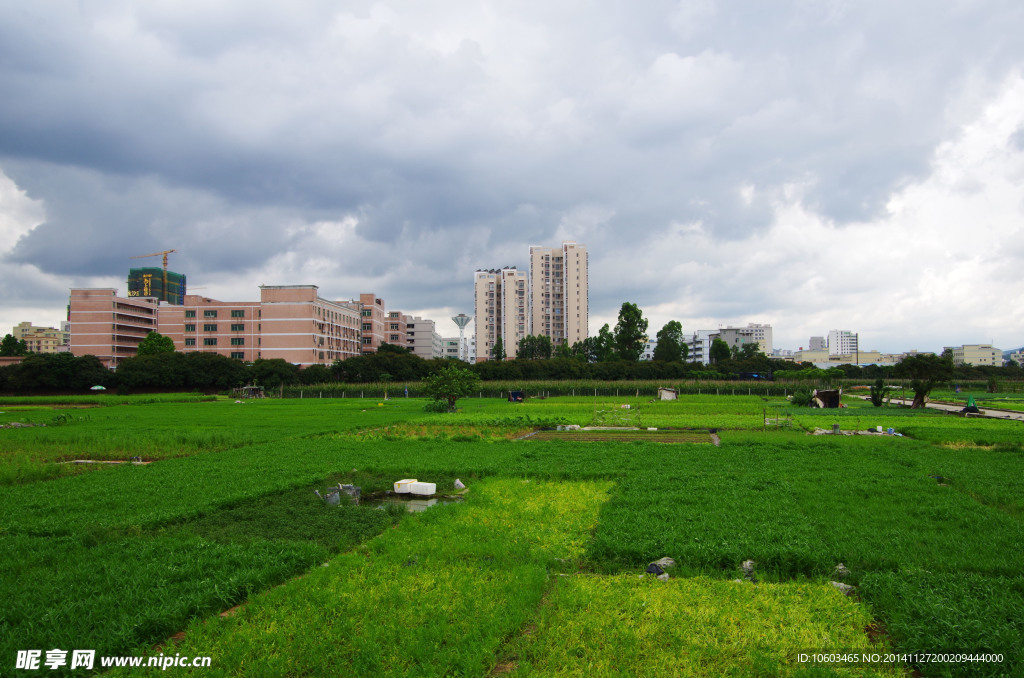 蔬菜基地绿色民生