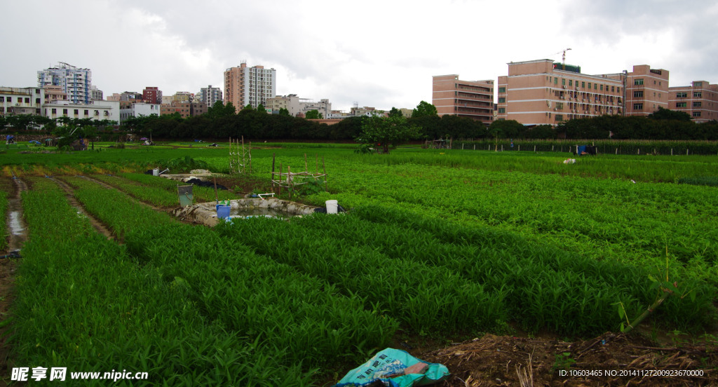 蔬菜基地民生工程