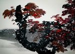 风花雪夜
