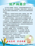 妇产科