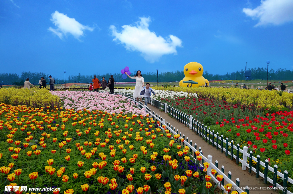 花海