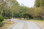 公园小路