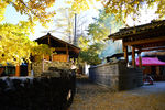 农家小院
