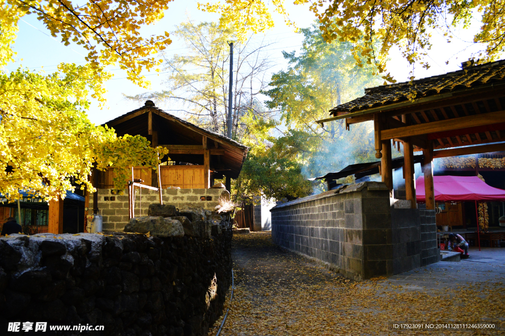 农家小院