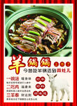 羊锅锅