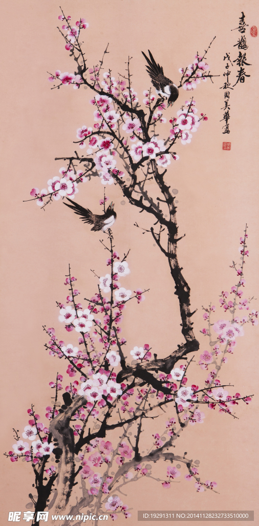 梅花国画