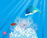 神秘海底世界