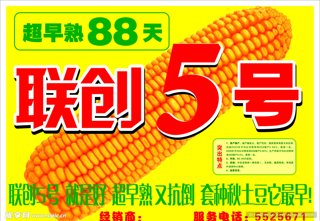 联创玉米5号