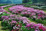 石门国家公园