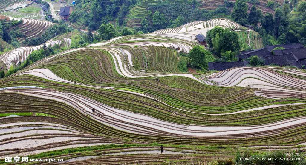 龙脊梯田