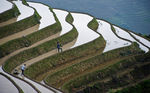 龙脊梯田