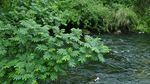 贵阳观山湖