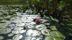贵阳观山湖