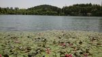 贵阳观山湖