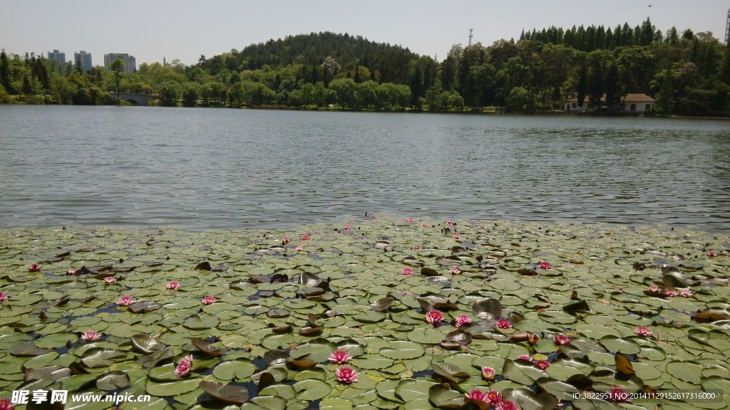 贵阳观山湖