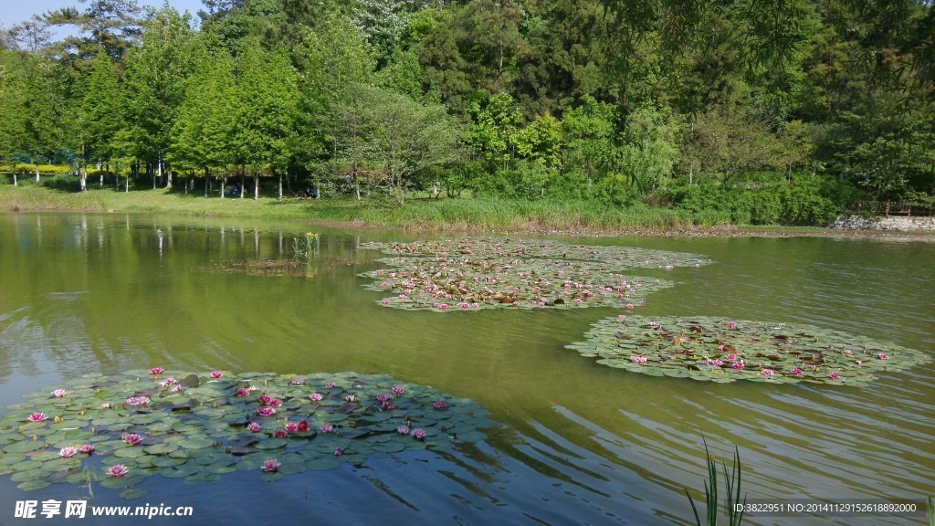 贵阳观山湖