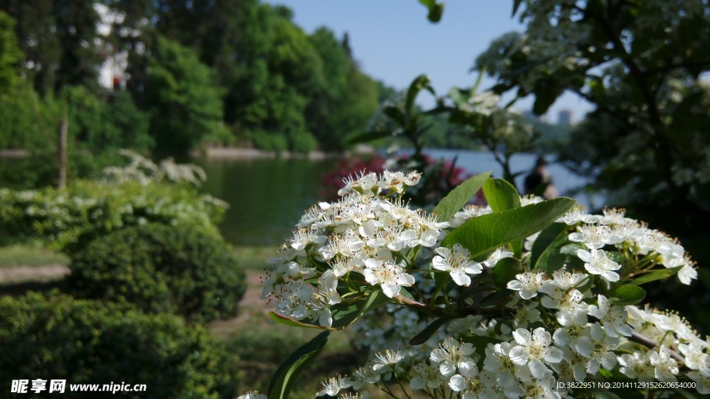 贵阳观山湖