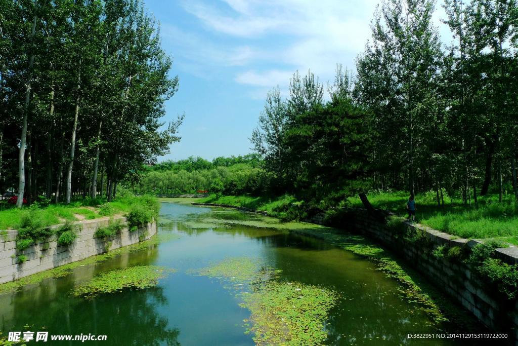 泰陵风景