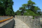 泰陵风景