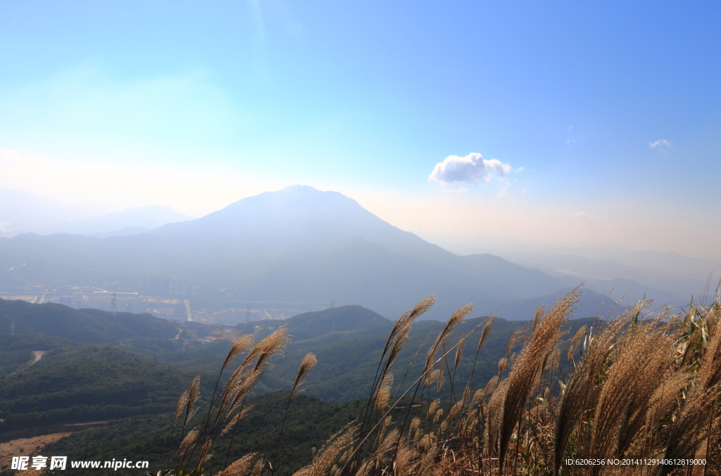 梧桐山