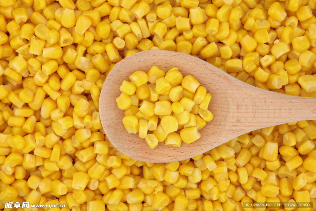 玉米粒 五谷杂粮