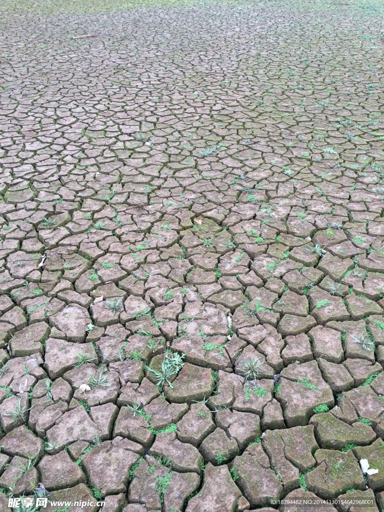 裂开的地面