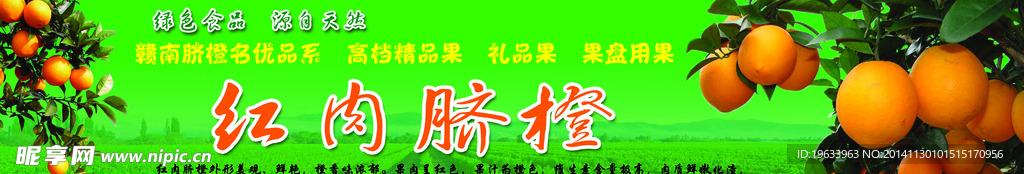 脐橙