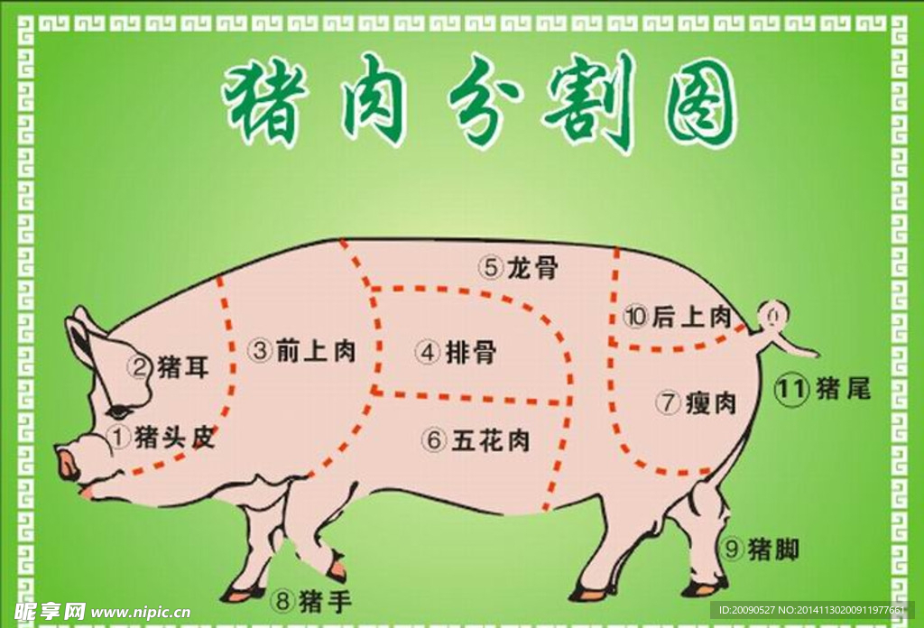 猪肉分割图