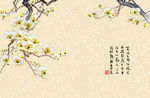 玉兰花