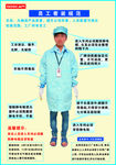 员工着装