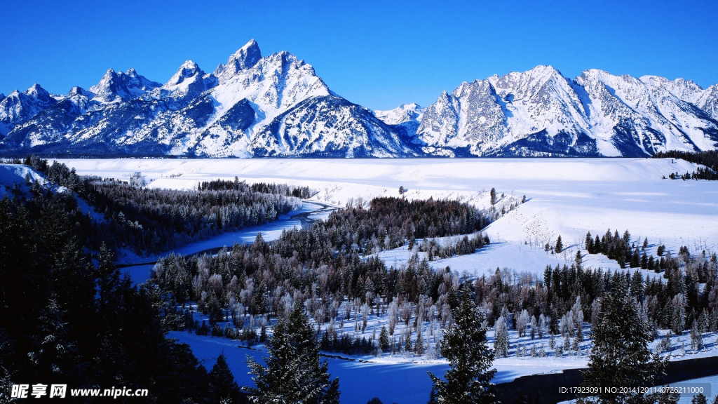 雪景