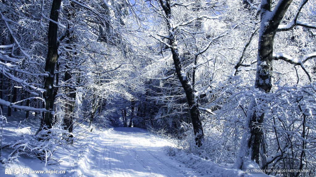 林海雪原
