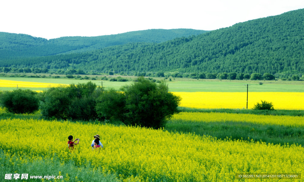 阿尔山风景