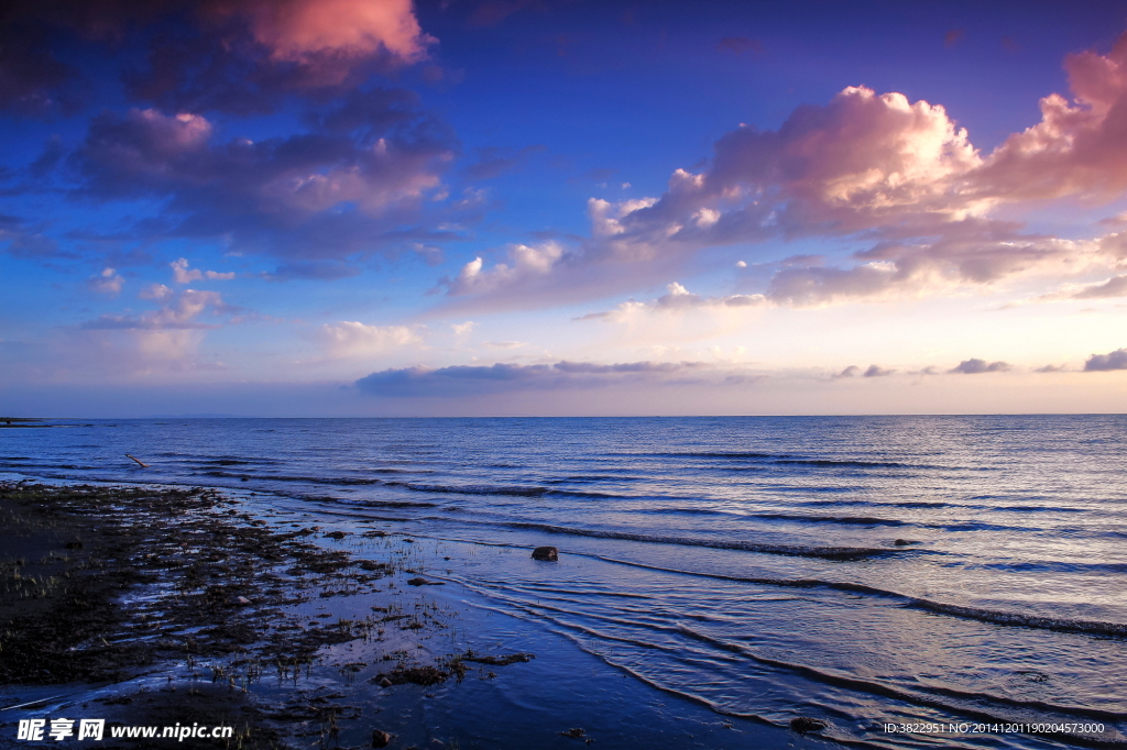 青海湖风景