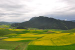 卓尔山风景