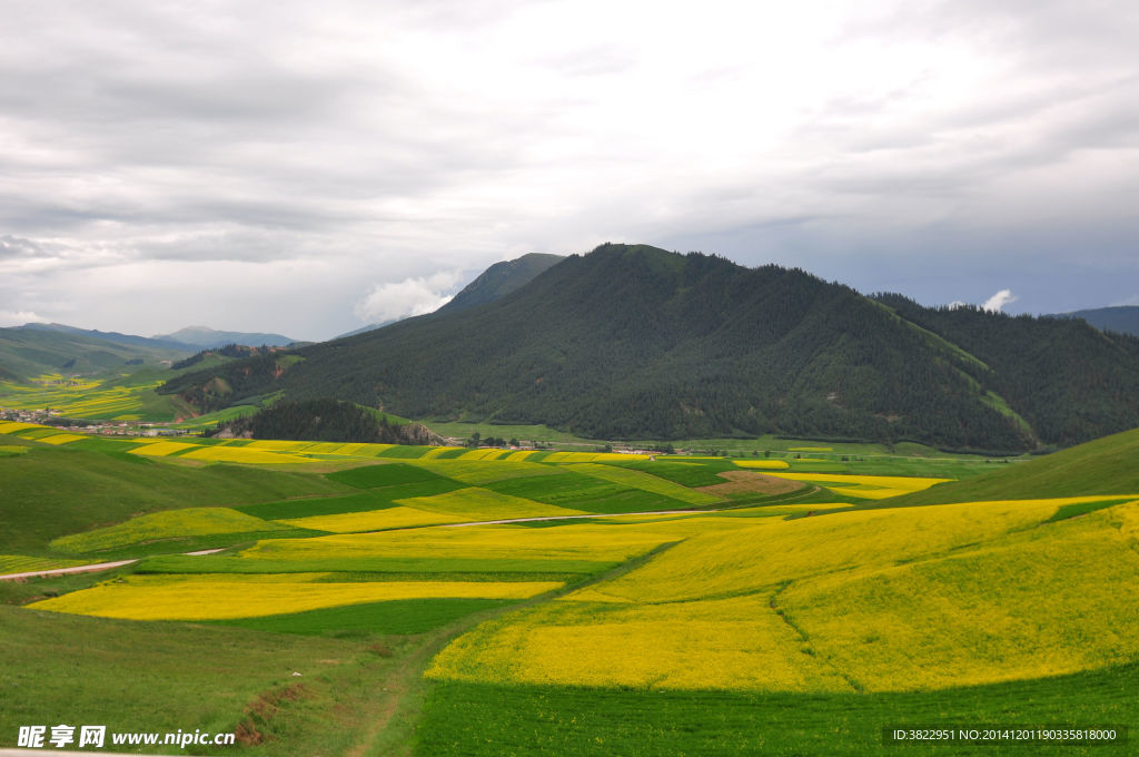 卓尔山风景