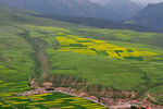 卓尔山风景