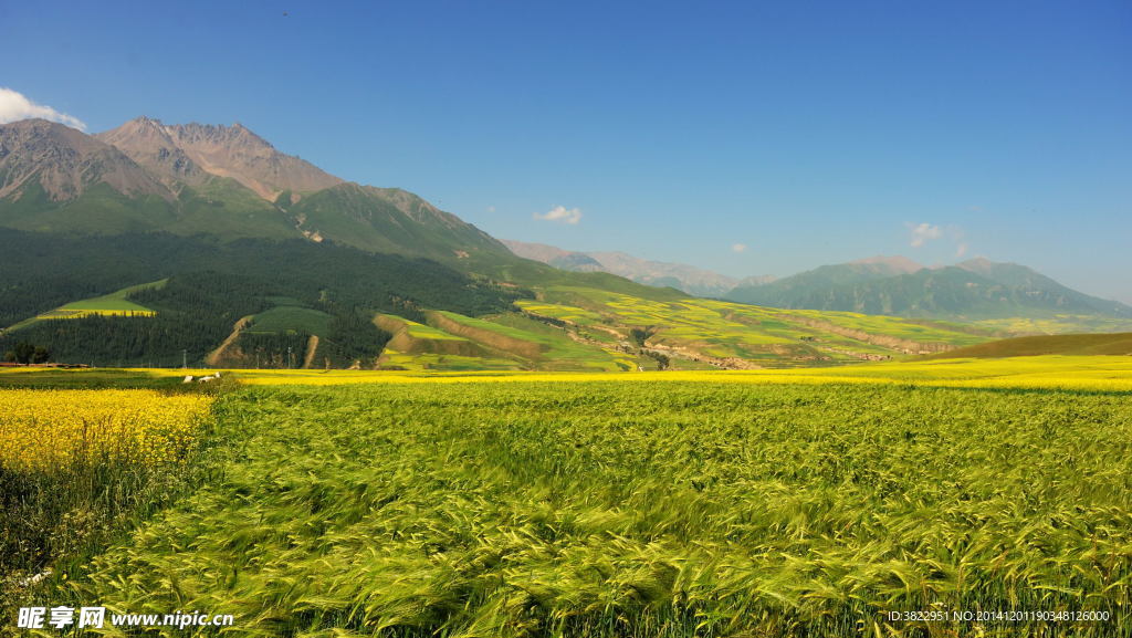 卓尔山风景