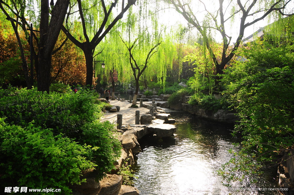 趵突泉风景