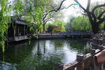 趵突泉风景