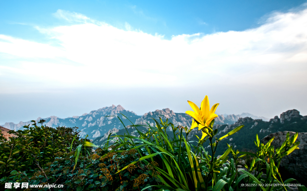 丹炉峰风景