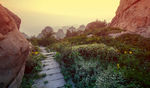 丹炉峰风景