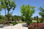 新泰清音公园